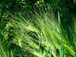 DSC01780.jpg