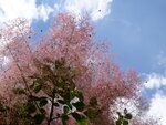DSC01824.jpg