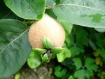 DSC01874.jpg
