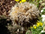 DSC01840.jpg