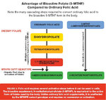 Folinic Acid vs. 5-MTHF.jpg