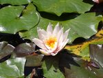 DSC01934.jpg