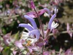 DSC01949.jpg