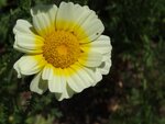 DSC01922.jpg