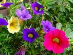 DSC01988.jpg