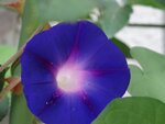 DSC02011.jpg