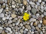 DSC02038.jpg