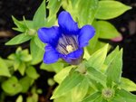 DSC02036.jpg