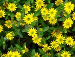 DSC02035.jpg