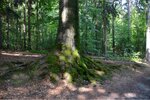 ImageUploadedBySymptome.ch1440516973.025941.jpg