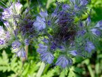 DSC02155.jpg