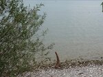DSC02247 (1).jpg