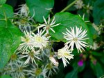 DSC02309.jpg