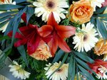 DSC02331.jpg