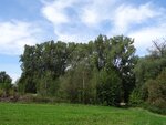 DSC02358.jpg