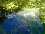 DSC02378.jpg
