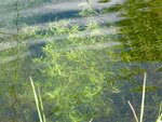 DSC02379.jpg