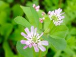 DSC02385.jpg
