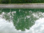 DSC02401.jpg