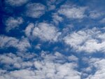 DSC02466.jpg