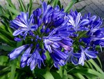 DSC02459.jpg