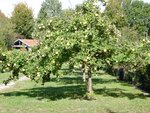 DSC02559.jpg