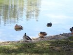 DSC02562.jpg
