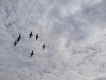 DSC02554.jpg