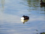 DSC02561.jpg