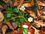 DSC00128.jpg