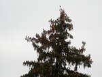 DSC02566.jpg