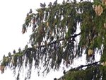 DSC02569.jpg
