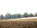 DSC02584 (1).jpg