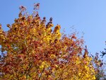 DSC02580.jpg