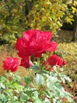 IMG_0696.jpg