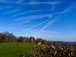 DSC02782.jpg