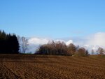 DSC02842.jpg
