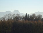 DSC02876.jpg