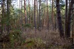 ImageUploadedBySymptome.ch1450622945.855463.jpg