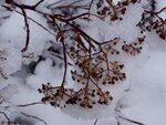 DSC02988.jpg