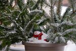 ImageUploadedBySymptome.ch1452112798.540081.jpg