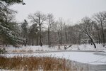 ImageUploadedBySymptome.ch1452114819.855454.jpg