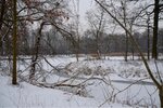 ImageUploadedBySymptome.ch1452115133.443208.jpg