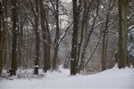 ImageUploadedBySymptome.ch1452115161.408797.jpg