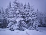 100_3673.jpg