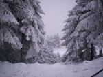 100_3666.jpg