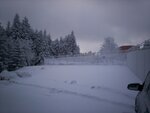100_3653.jpg 100_3653.jpg