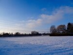 DSC02997.jpg
