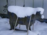 DSC02989.jpg