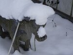 DSC02991.jpg